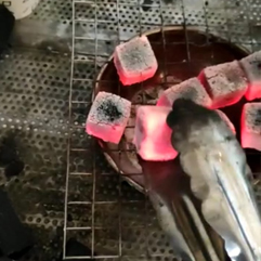 Coconut Charcoal